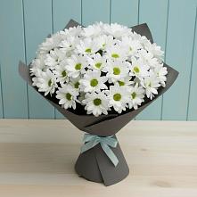 Букет белые хризантемы #REPLACE_PRED# Янтарном Букет цветов из:  Хризантемы #REPLACE_PRED# Янтарном