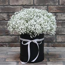 Композиция коробка гипсофил в Янтарном Цветочная композиция из Гипсофила в шляпной коробке в Янтарном