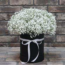 Композиция коробка гипсофил в Янтарном Цветочная композиция из Гипсофила в шляпной коробке в Янтарном